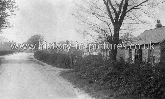 A View in Cold Norton, Essex. c.1905